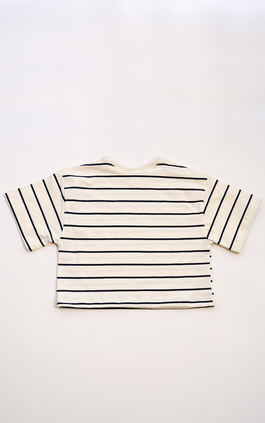 BASICA RAYAS MARINERAS