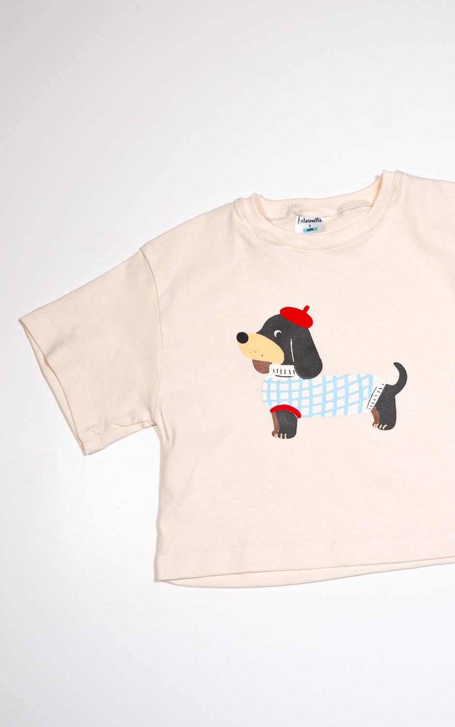 CAMISETA PERRITO FRANCES