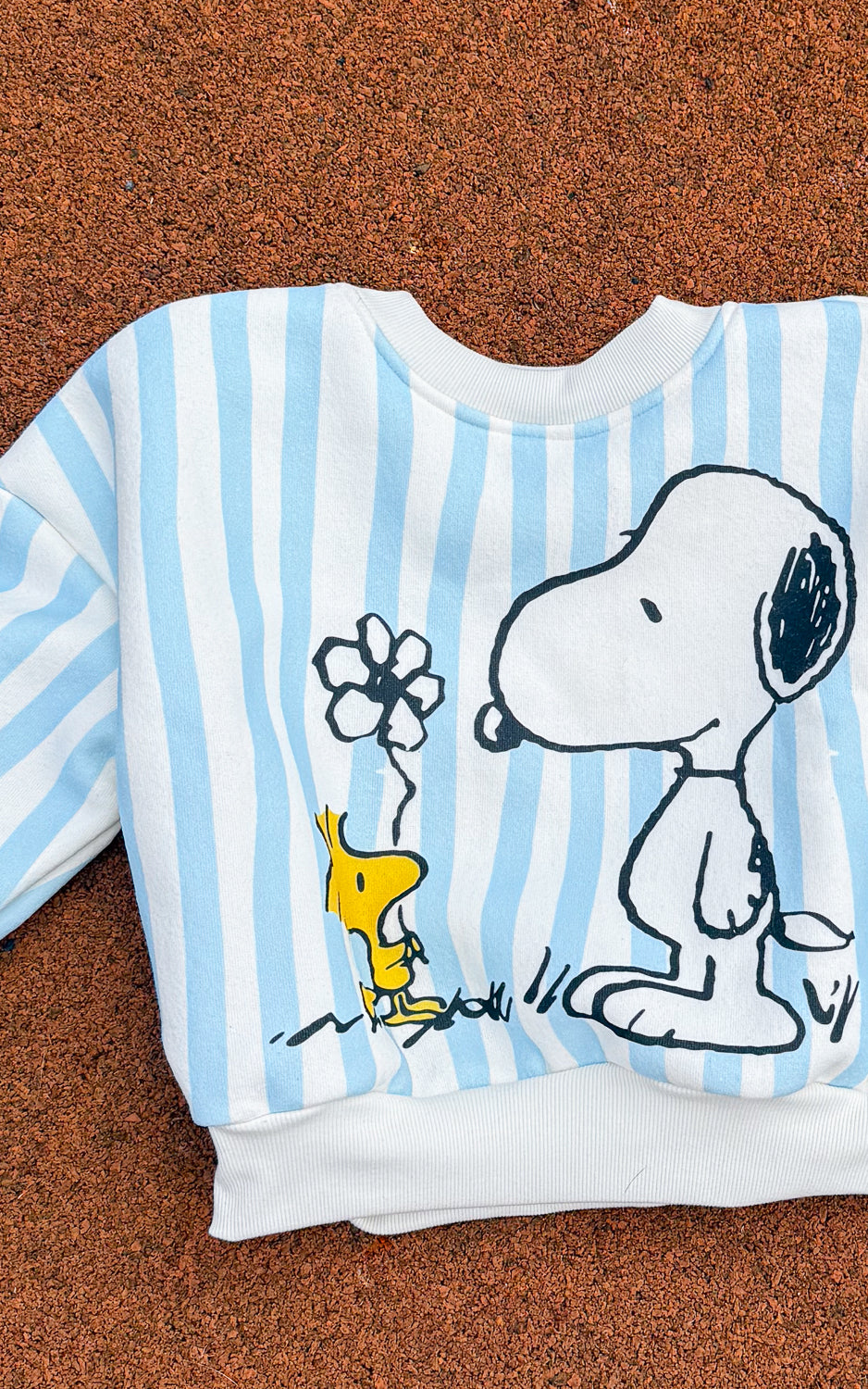 BUSO SNOOPY RAYAS