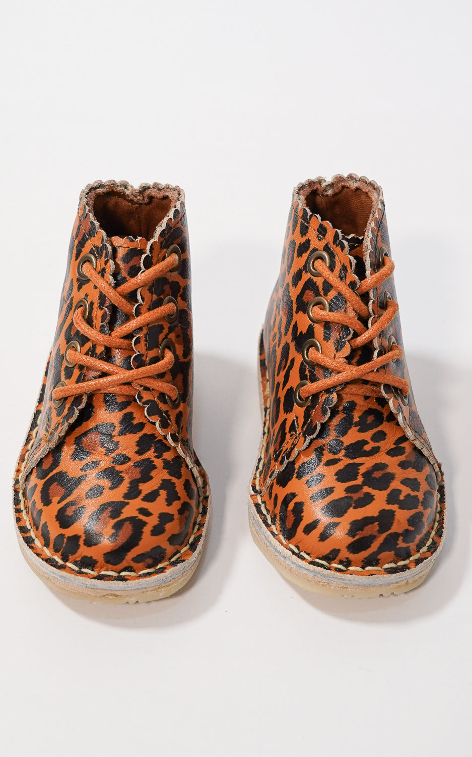 ZAPATOS LOUIS ANIMAL