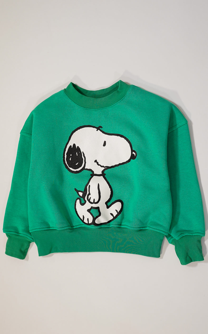 BUZO SNOOPY VERDE