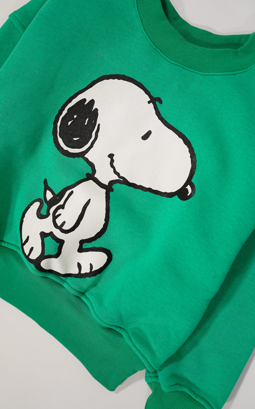 BUZO SNOOPY VERDE