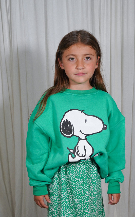 BUZO SNOOPY VERDE