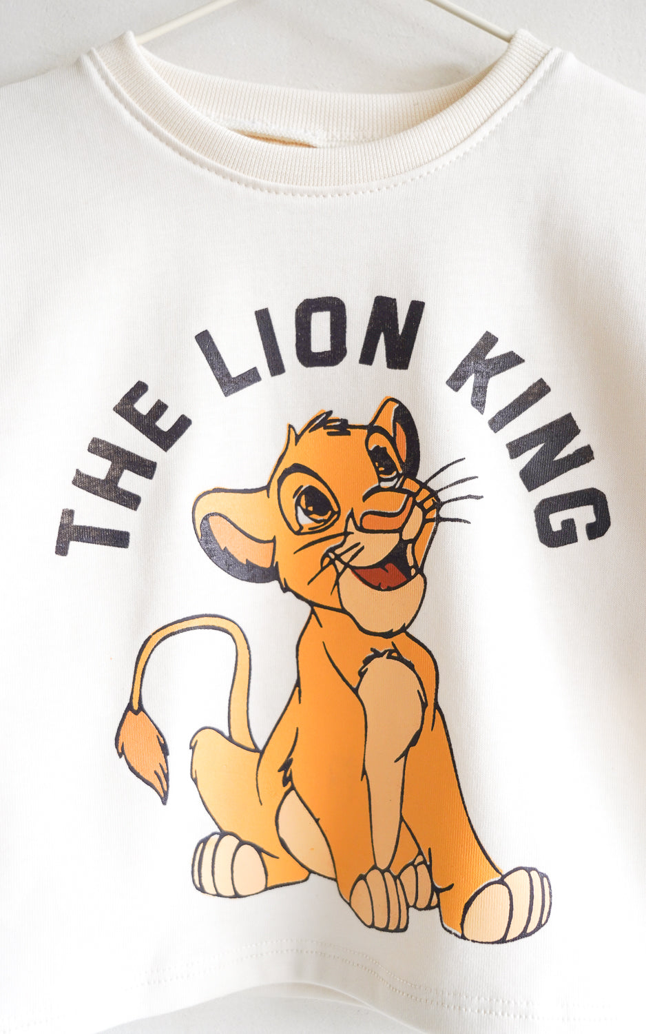 CAMIBUZO THE LION KING