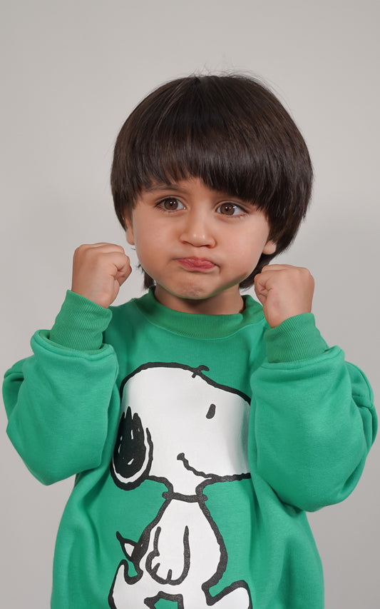 BUZO SNOOPY VERDE
